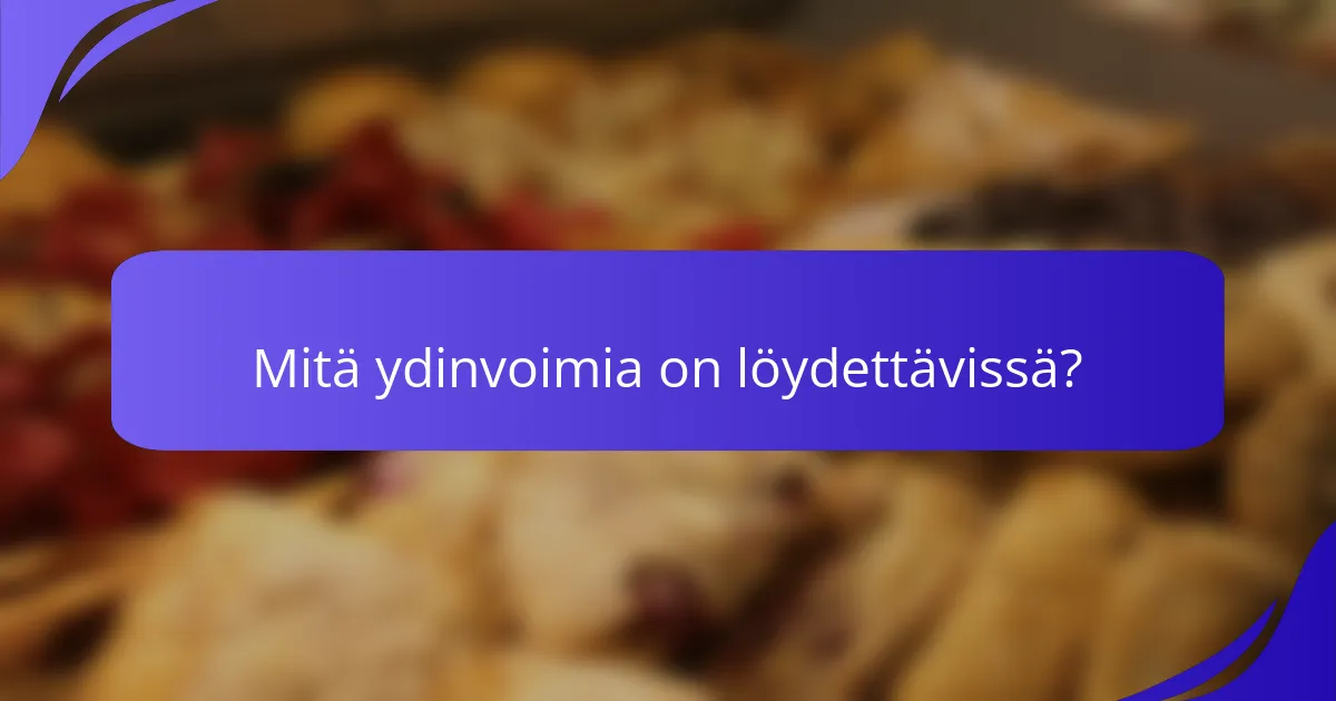 Mitä ydinvoimia on löydettävissä?