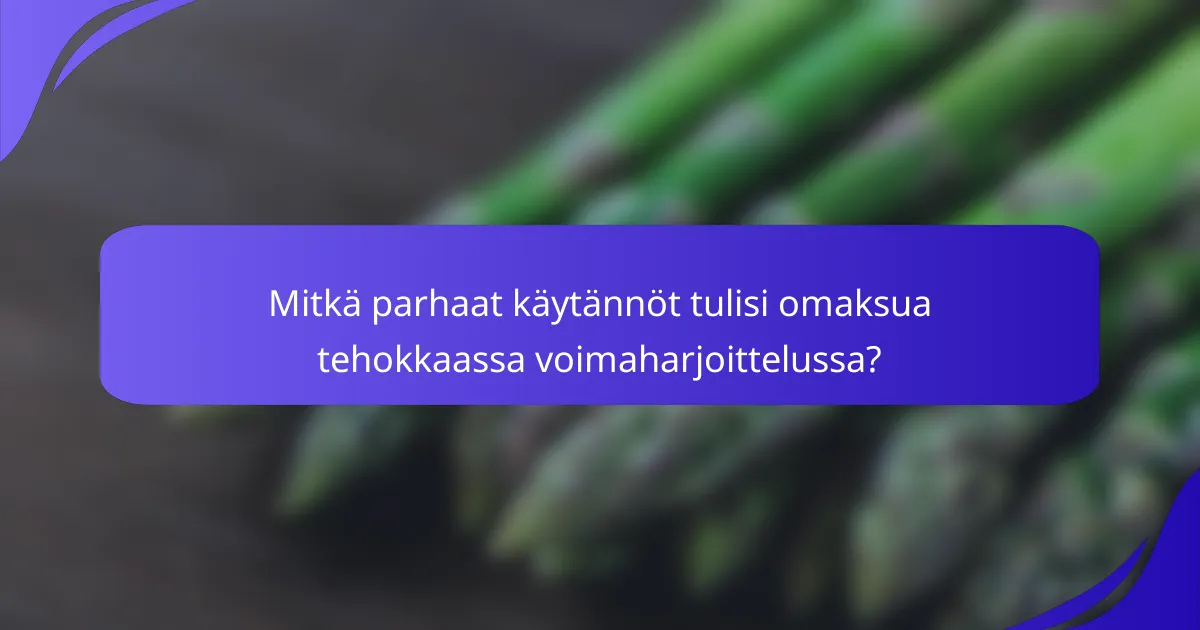 Mitkä parhaat käytännöt tulisi omaksua tehokkaassa voimaharjoittelussa?
